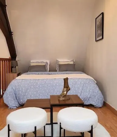 Διαμέρισμα Grand Duplex Du Beffroi *