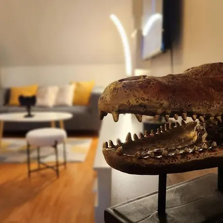 Grand Duplex Du Beffroi * ドゥエー