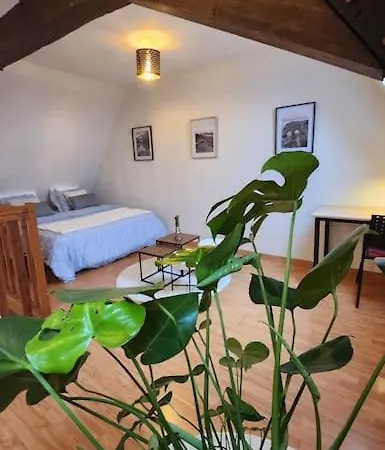 Grand Duplex Du Beffroi Apartment