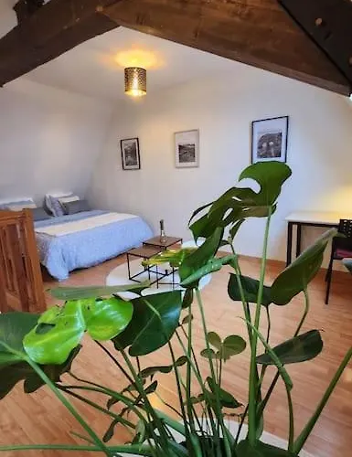 Grand Duplex Du Beffroi Appartement