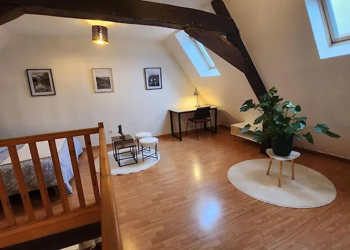 Appartement Grand Duplex Du Beffroi *