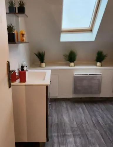 Grand Duplex Du Beffroi Appartement Douai